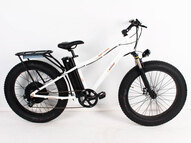 Электрофэтбайк E-motions Megafat 2-22 Premium