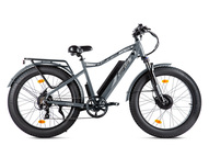 Электрофэтбайк VOLTECO BigCat Dual Next (серый)