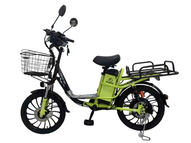 Электровелосипед Elbike Largo D12 (Дача)