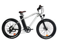 Электрофэтбайк El-sport bike TDE-03 350W