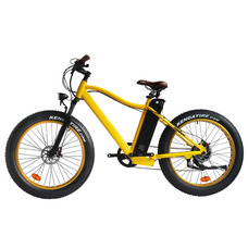El-sport bike TDE-03 350W