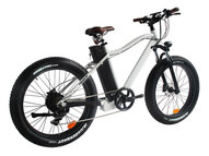 Электрофэтбайк El-sport bike TDE-03 350W