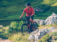 Электровелосипед Haibike XDURO FullSeven S 7.0