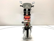 Электровелосипед GreenCamel Транк 20 V8 (R20 250W 60V 13Ah)