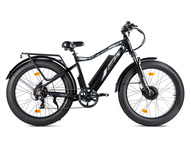 Электрофэтбайк VOLTECO BigCat Dual Next (серый)